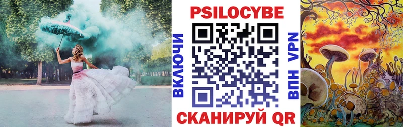Псилоцибиновые грибы Cubensis  Купить где  Апшеронск 